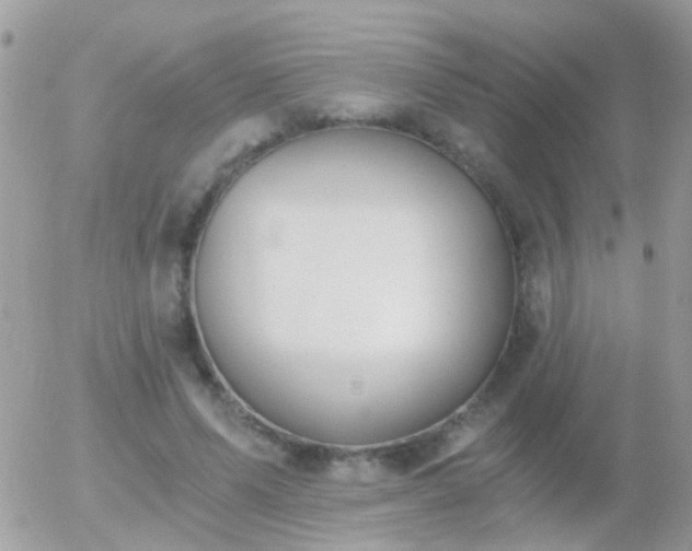 X0000056030591200508261909