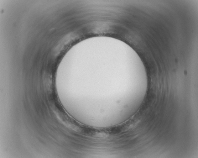 X0000056030592200508261909