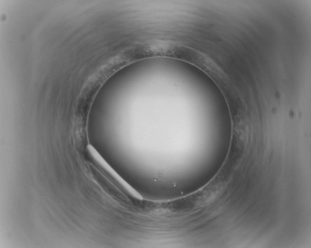 X0000056030593200508261909