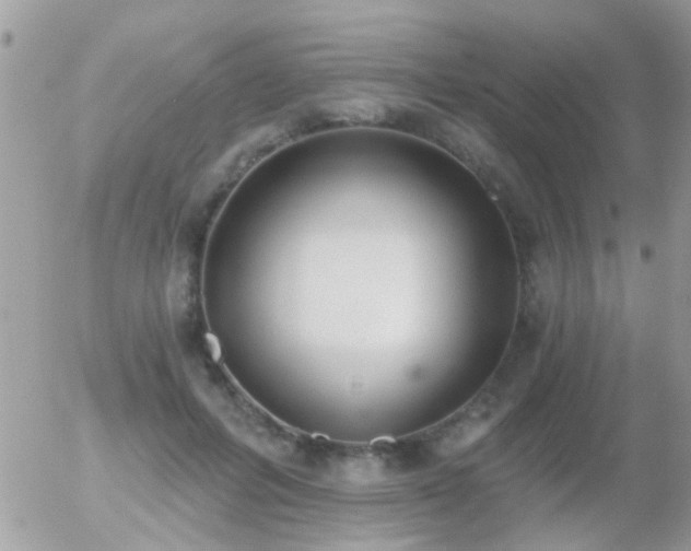 X0000056030600200508261908