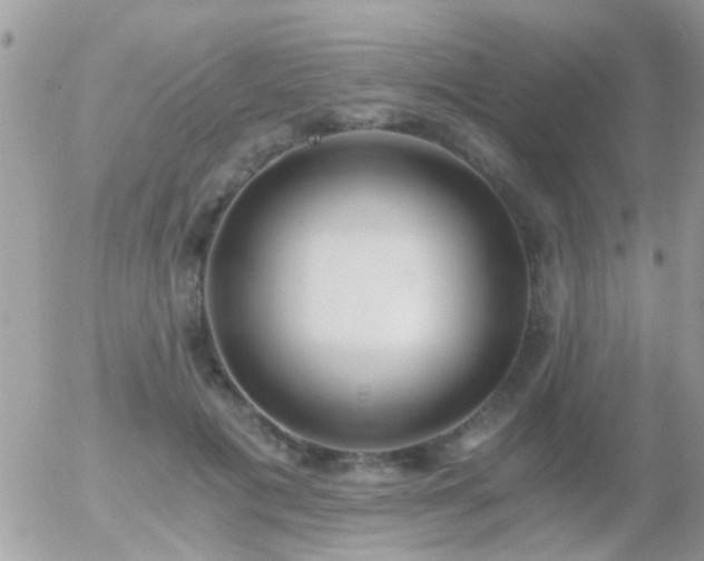 X0000056030601200508261908