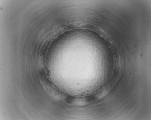 X0000056030606200508261908