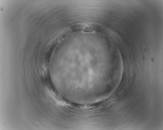 X0000056030607200508261908