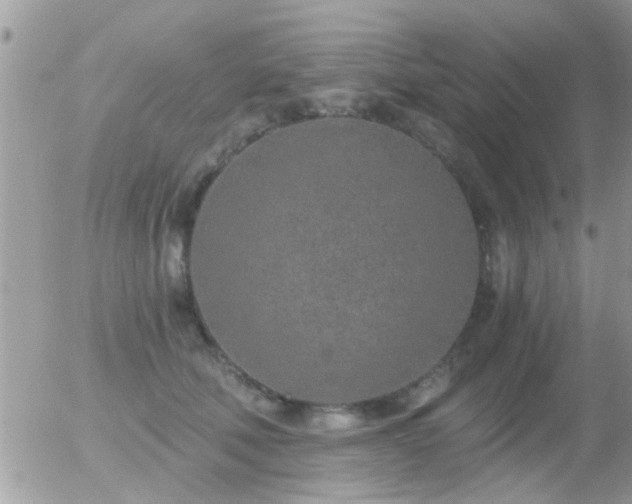 X0000056030610200508261908