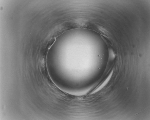 X0000056030613200508261908