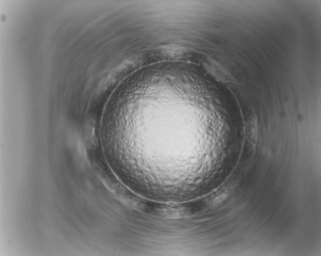 X0000056030615200508261908