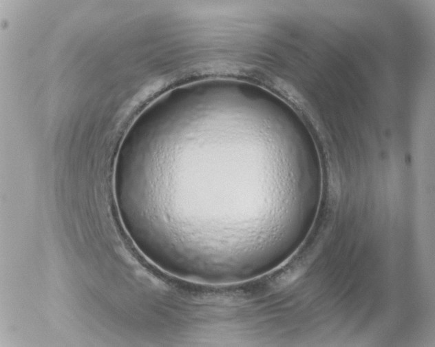 X0000056030625200508261907