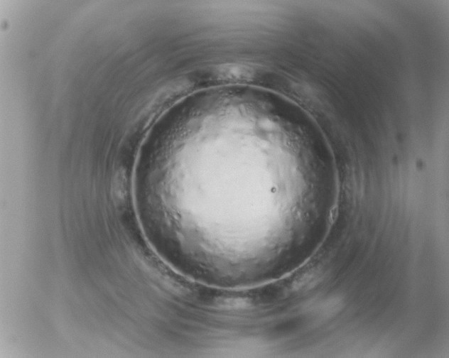 X0000056030649200508261908