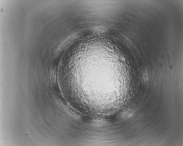 X0000056030666200508261908