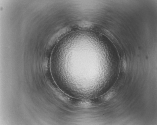 X0000056030668200508261908