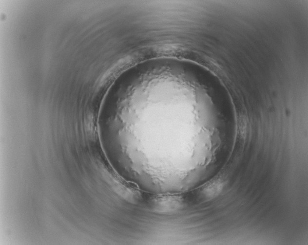 X0000056030670200508261908