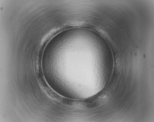 X0000056030682200508261907
