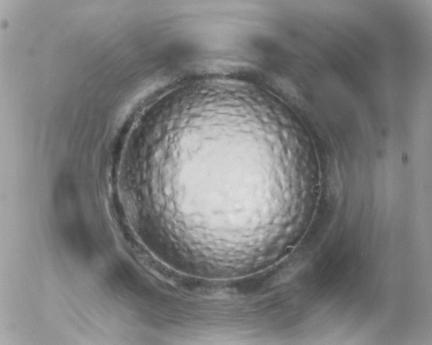 X0000056030683200508261907