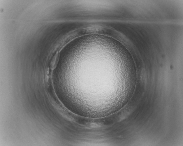 X0000056030737200508261906