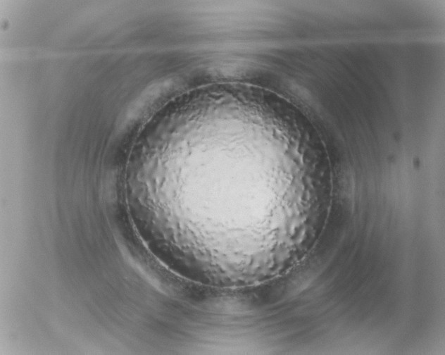 X0000056030738200508261906