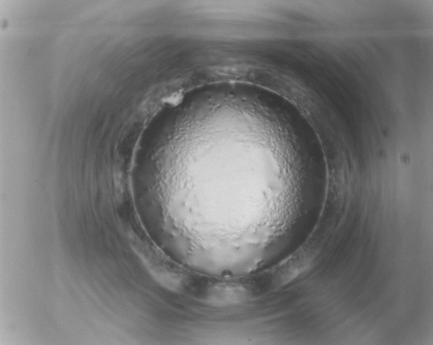X0000056030749200508261906