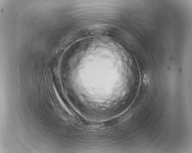 X0000056030771200508261906