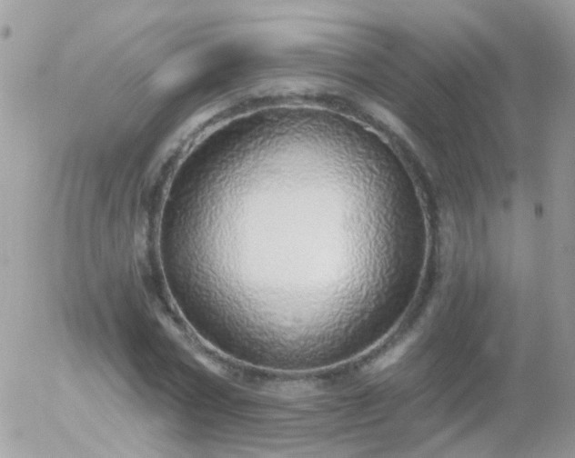 X0000056030778200508261905