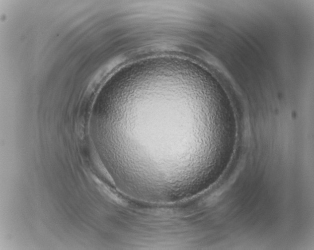 X0000056030785200508261905