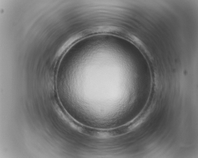 X0000056030794200508261905