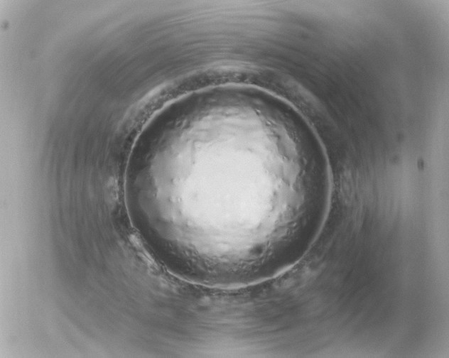X0000056030821200508261904