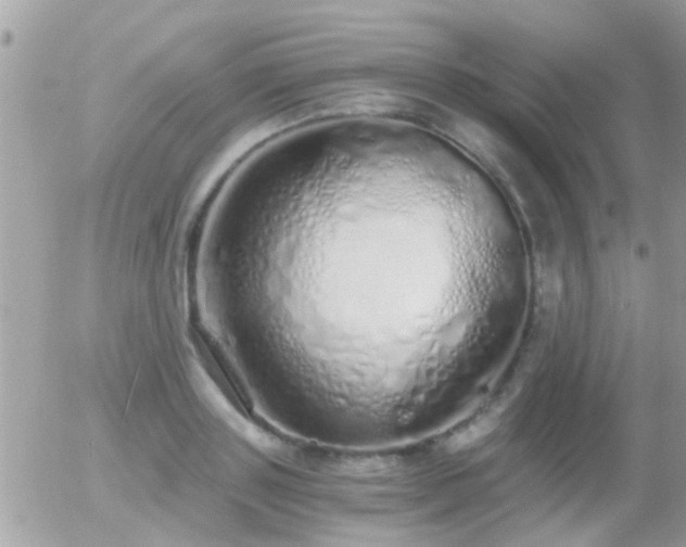 X0000056030843200508261904