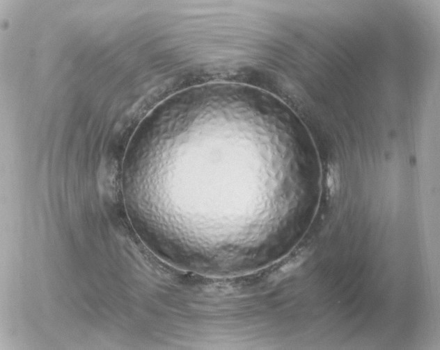 X0000056030867200508261904