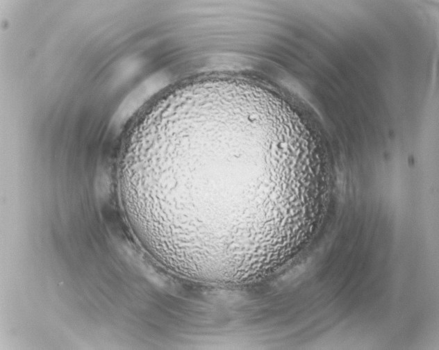 X0000056030874200508261904