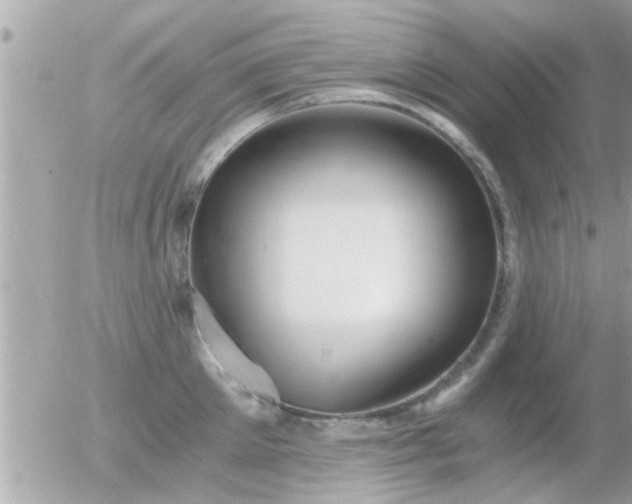 X0000056030905200508261903