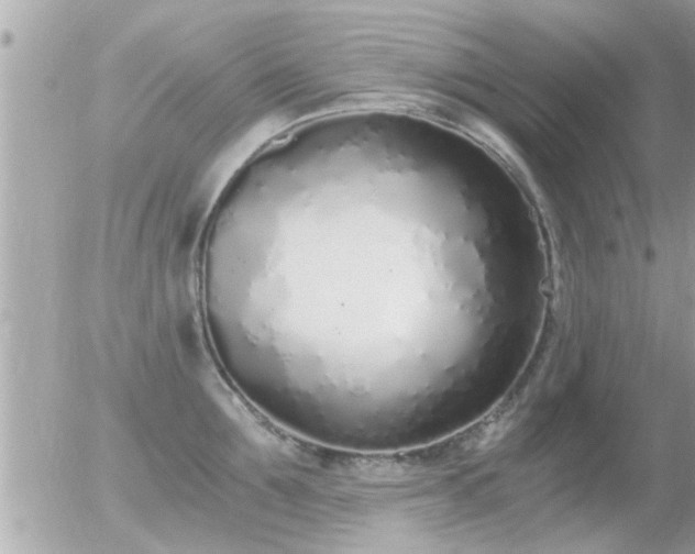 X0000056030907200508261903