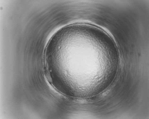 X0000056030911200508261903