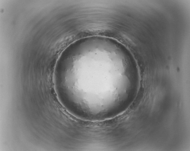 X0000056030917200508261903