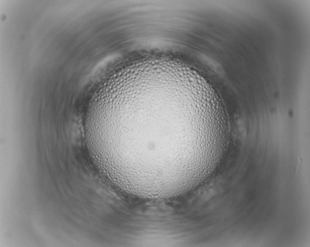 X0000056030918200508261903