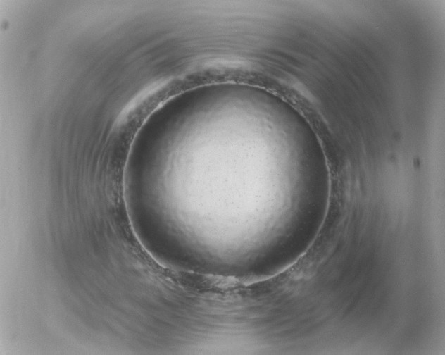 X0000056030919200508261903