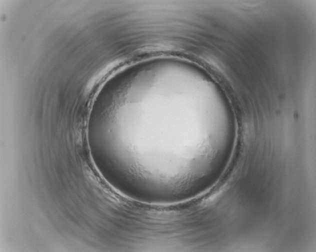 X0000056030921200508261903