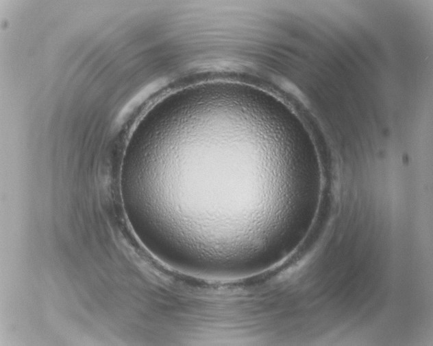 X0000056030922200508261903