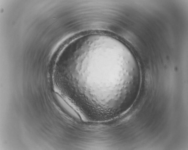 X0000056030926200508261903