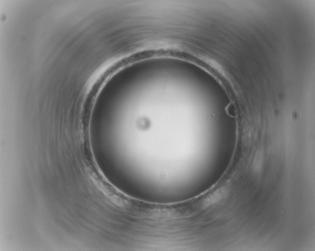 X0000056030927200508261903