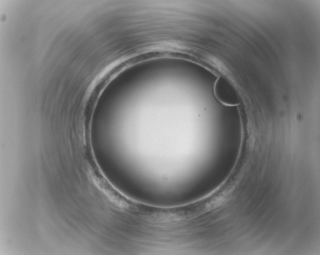 X0000056030931200508261903