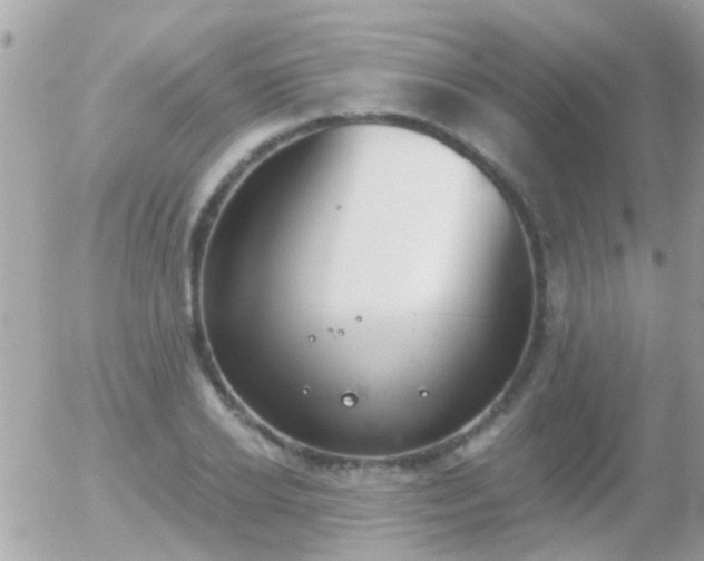 X0000056030934200508261903