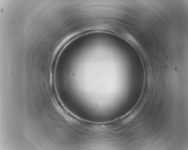 X0000056030940200508261903