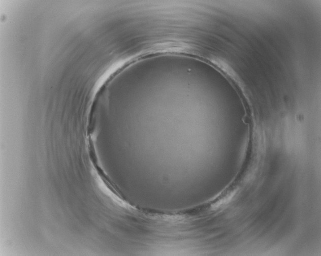 X0000056030941200508261903