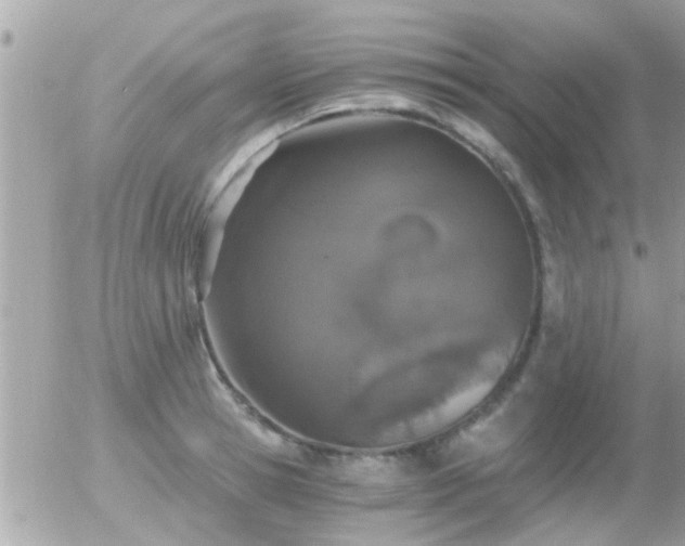 X0000056030945200508261903