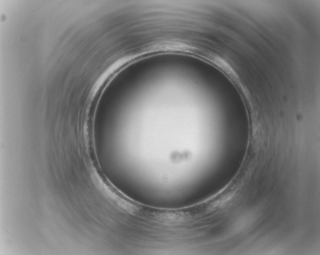 X0000056030947200508261903