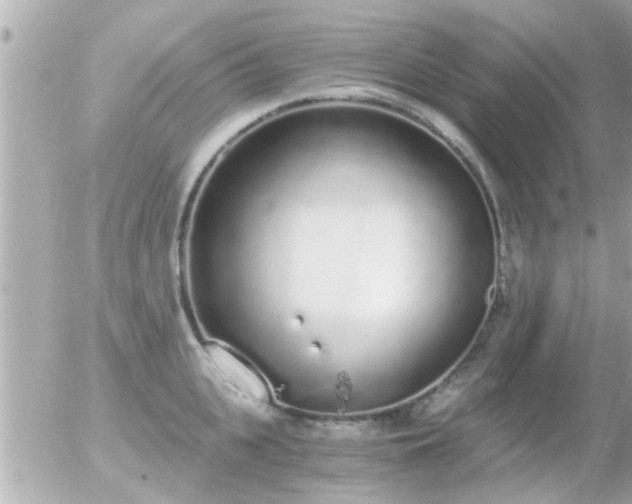 X0000056030951200508261903