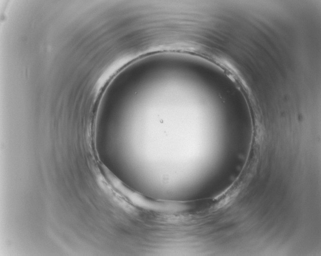 X0000056030952200508261903