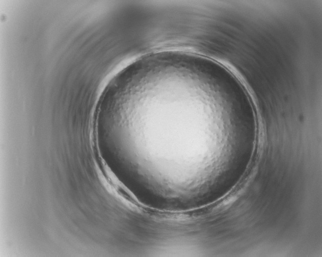 X0000056030957200508261903