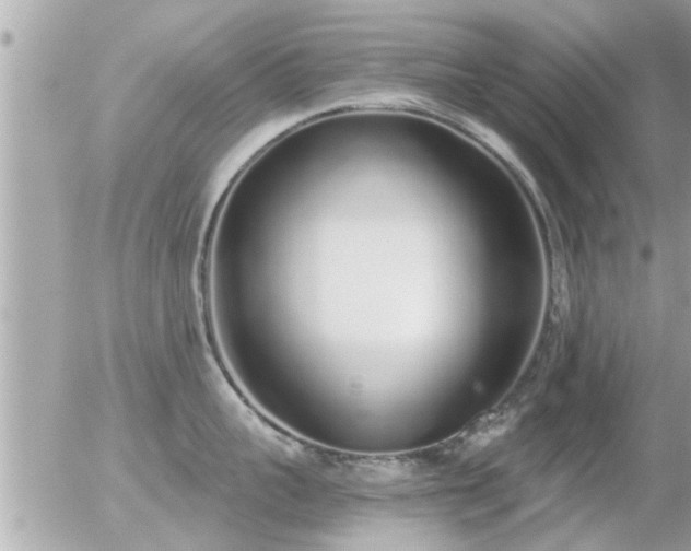 X0000056030959200508261903