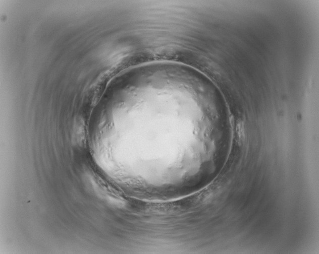 X0000056030963200508261902