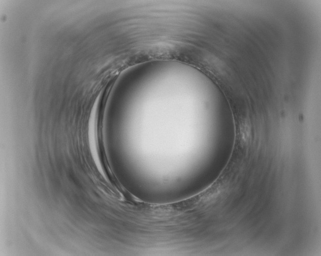 X0000056030964200508261902